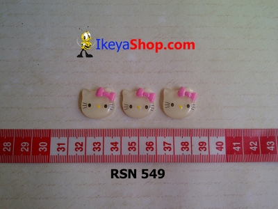 rsn 549  large2